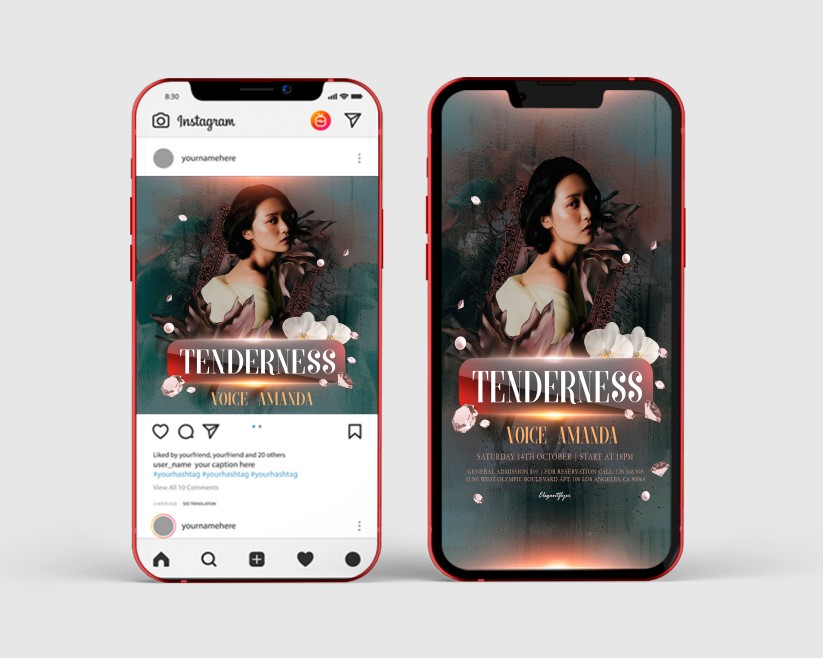 Tenderness Party – Instagram Stories Template in PSD + Post Templates Tenderness Party – Instagram Stories Template in PSD + Post Templates