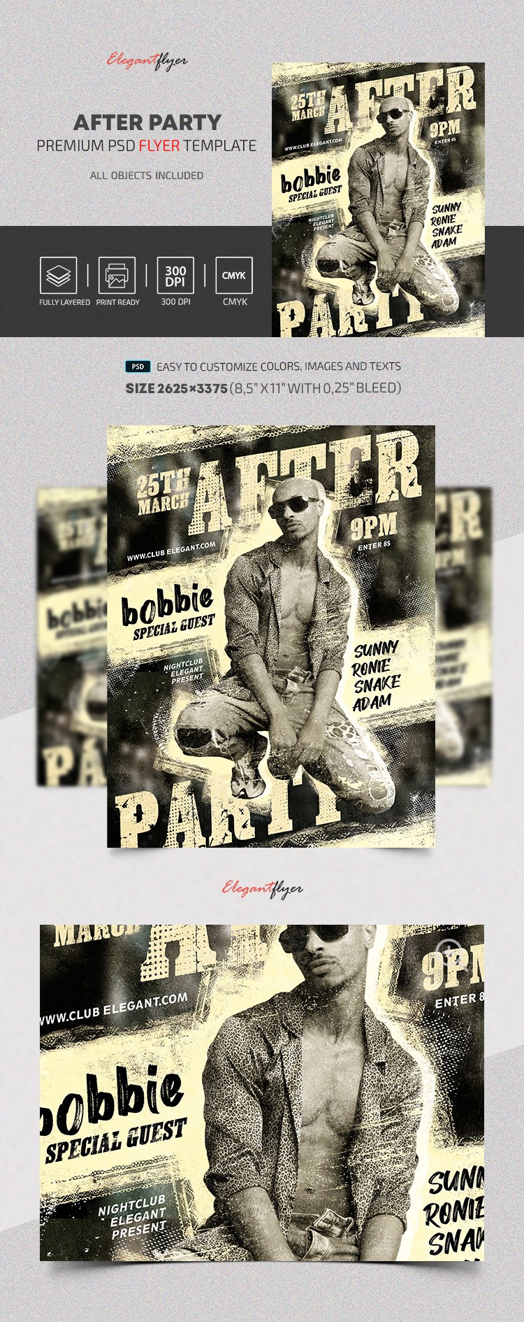 Nach der Party Flyer by ElegantFlyer