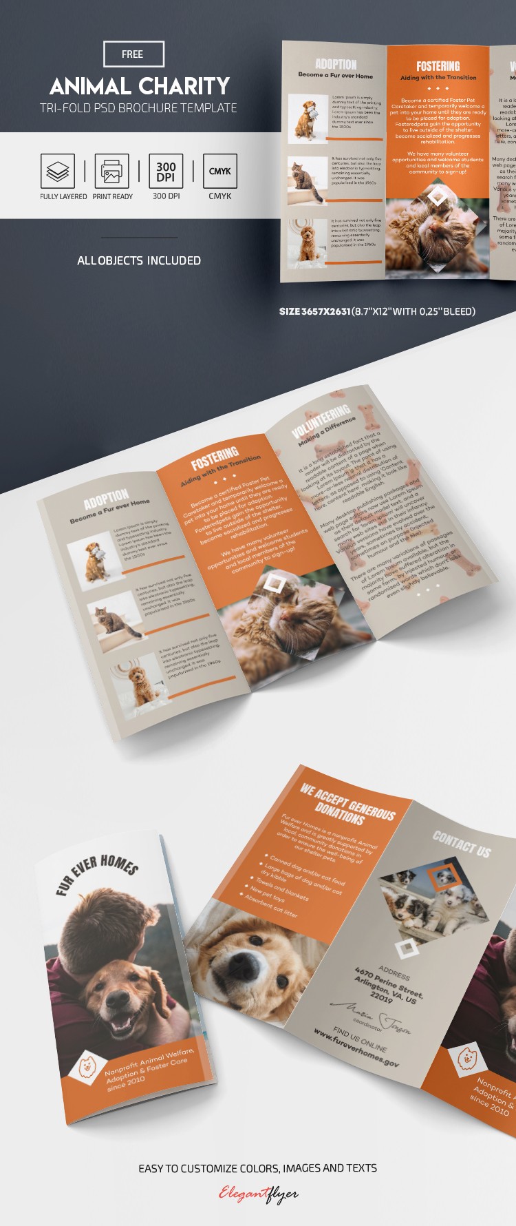 Animal Charity Tri-Fold Brochure by ElegantFlyer