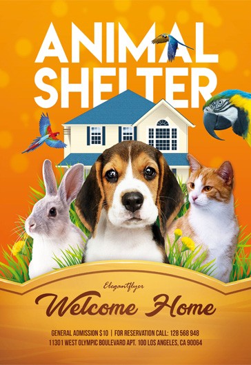 1000+ Free Pets &amp; Animals Flyer Templates (PSD) - by Elegantflyer