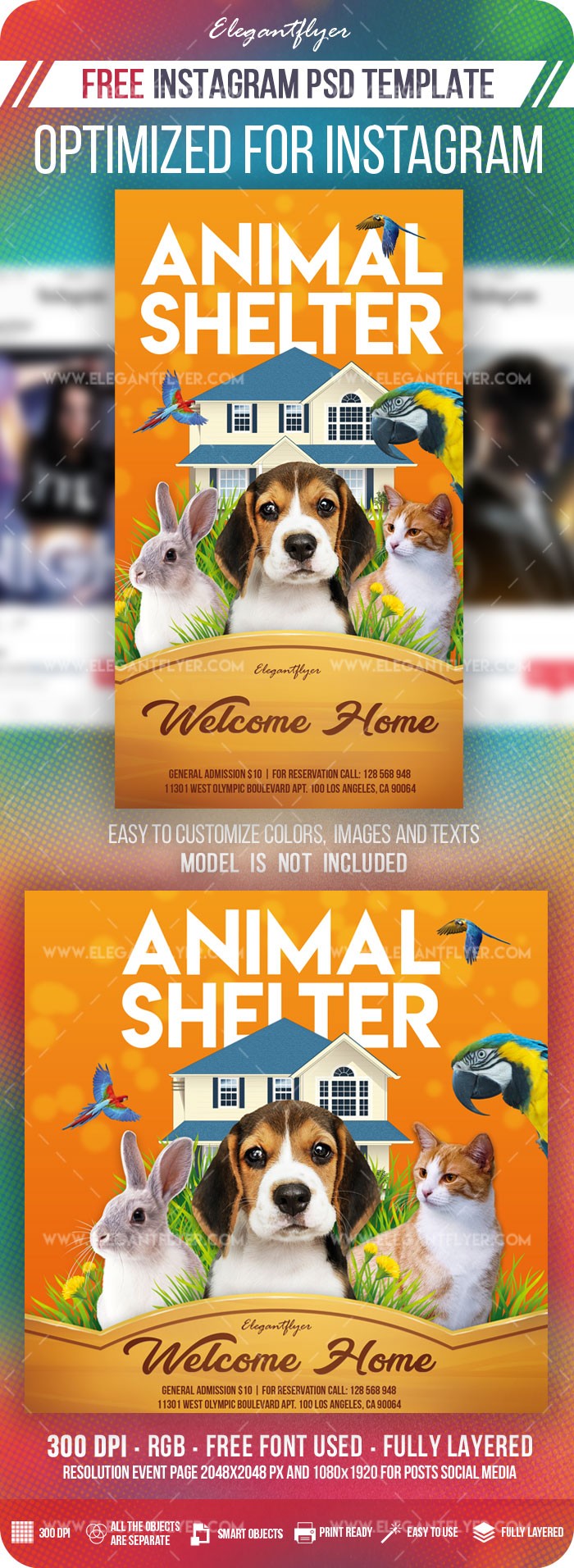 Animal Shelter Instagram by ElegantFlyer