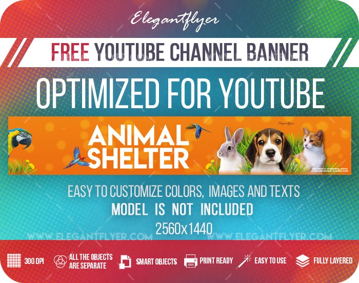 Abrigo de animais do Youtube by ElegantFlyer