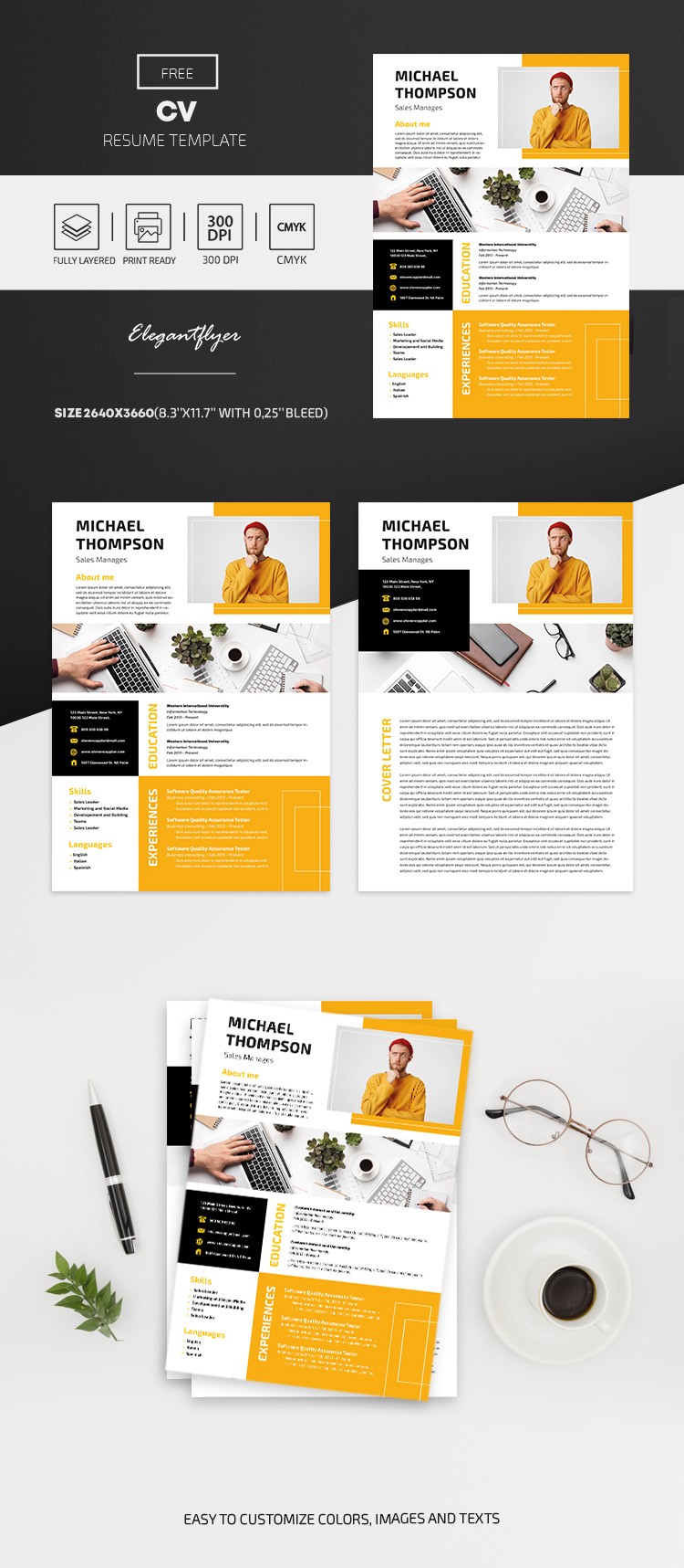 Meilleur CV by ElegantFlyer