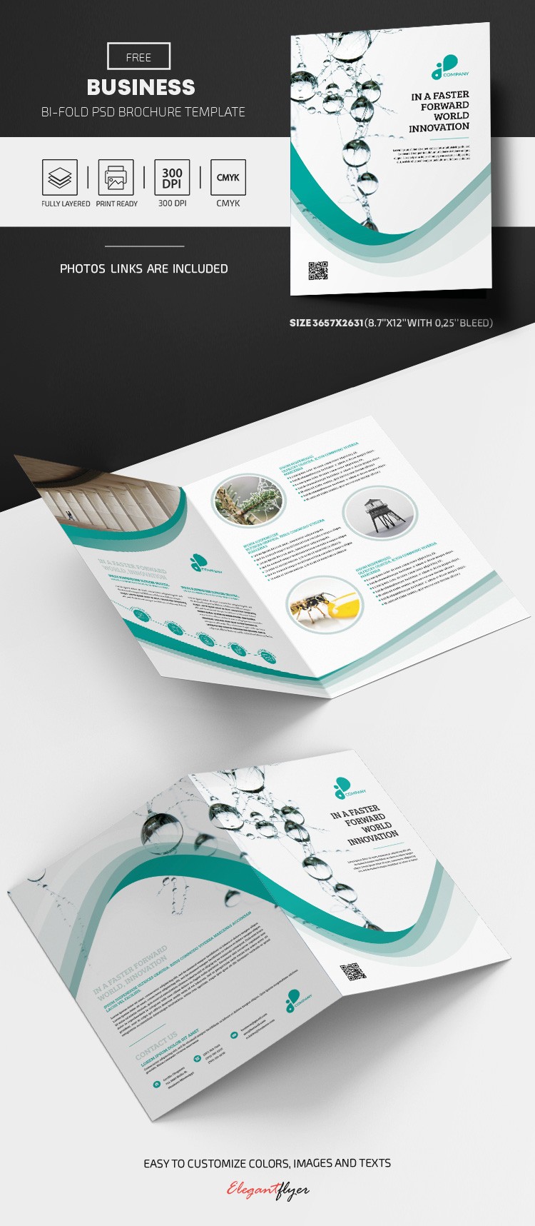 Business Bi-fold Brochure by ElegantFlyer