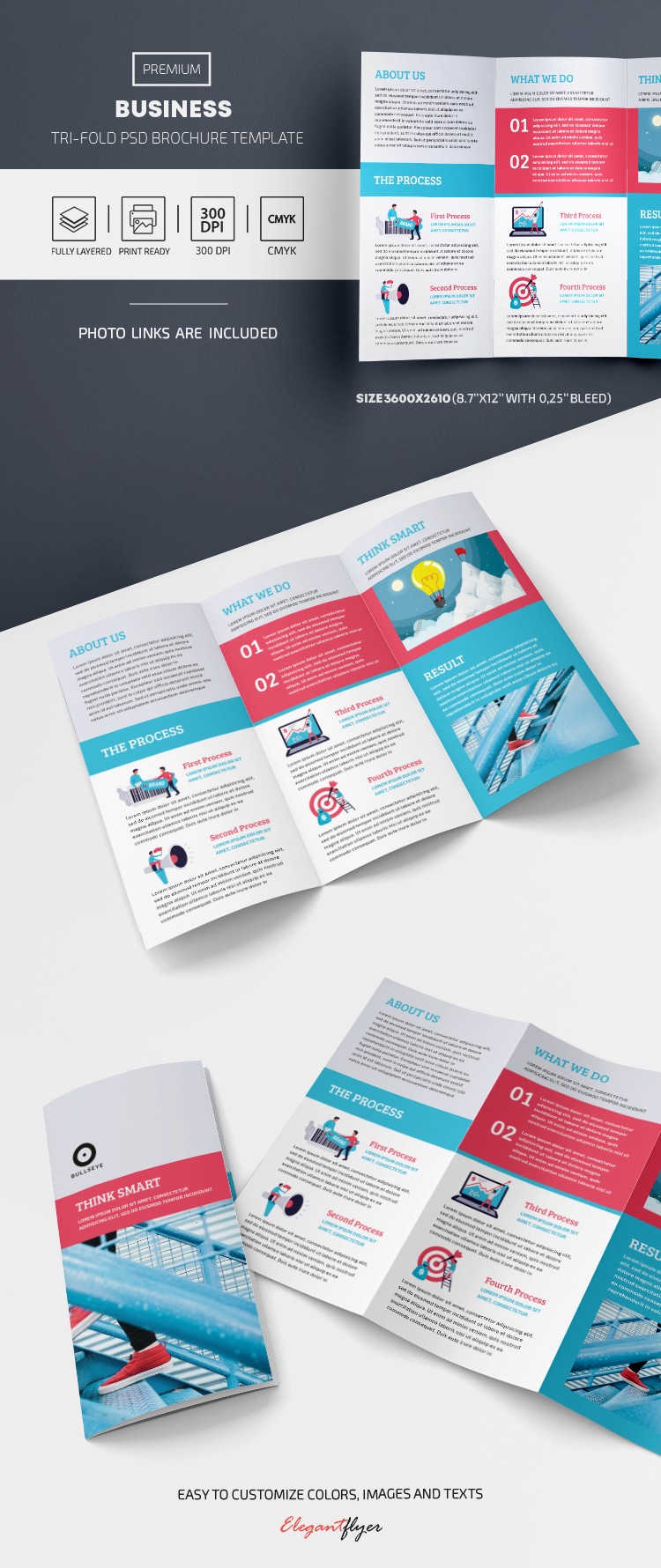 Brochure Tri-Fold by ElegantFlyer