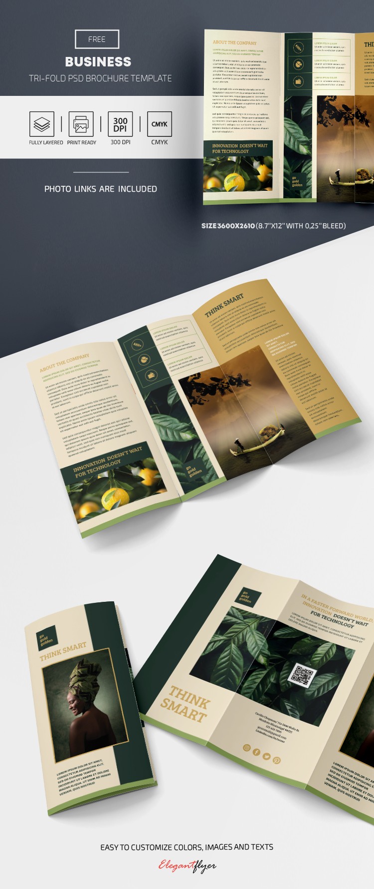 Brochure tri-fold free by ElegantFlyer