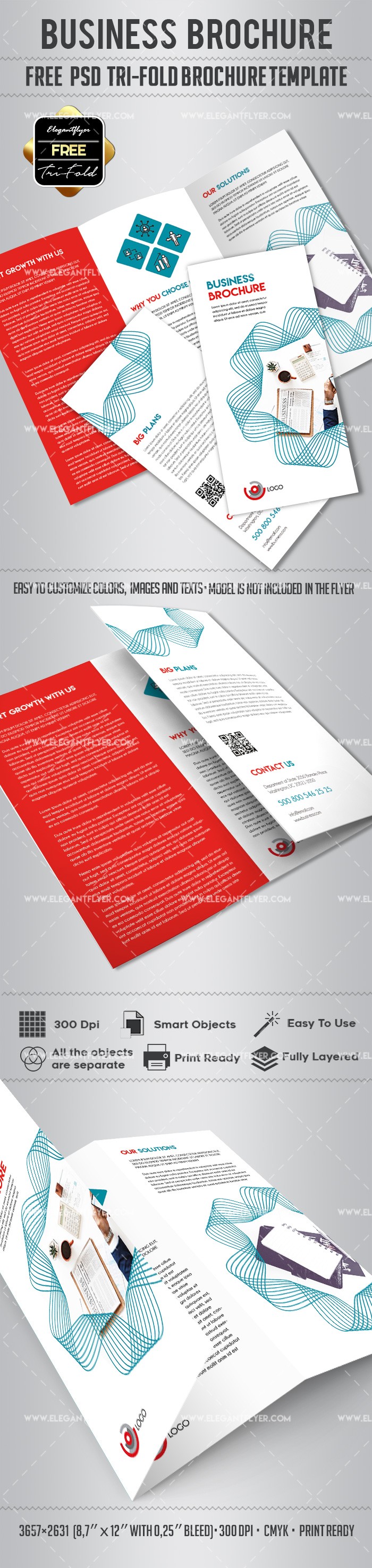 Business Tri-Fold Brochure by ElegantFlyer