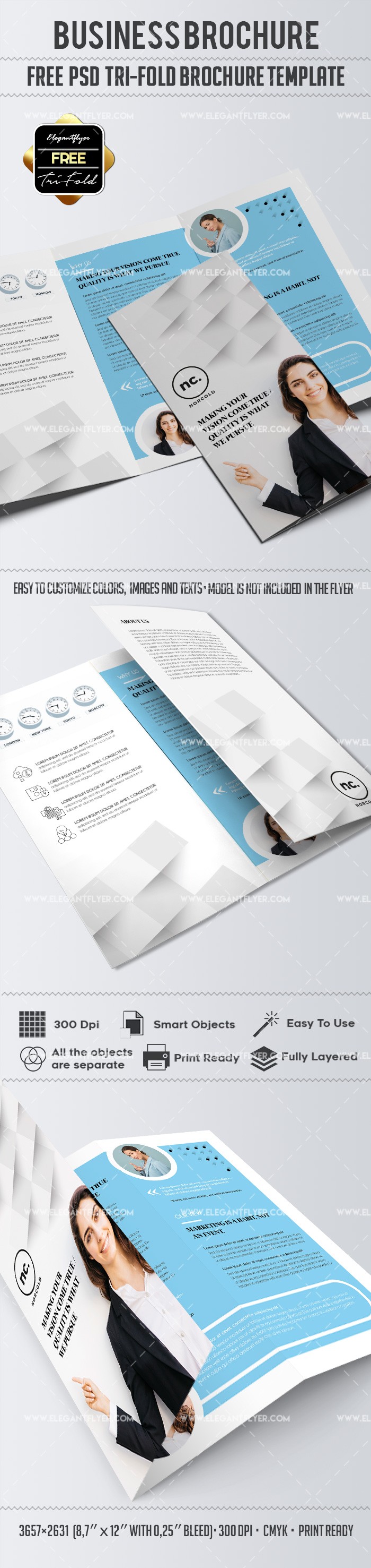 Business Tri-Fold Brochure by ElegantFlyer