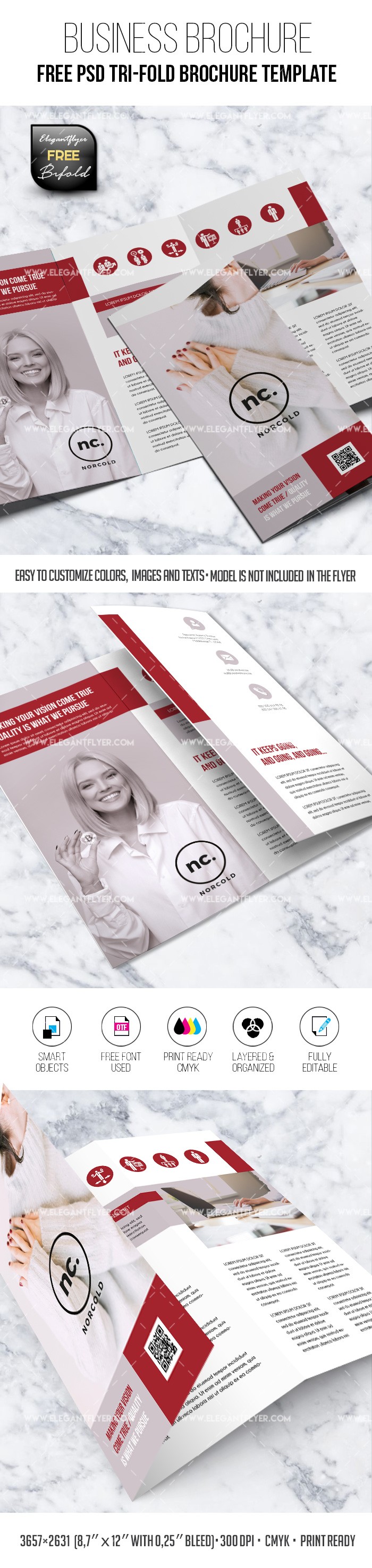 Brochure d'affaires en trois volets by ElegantFlyer