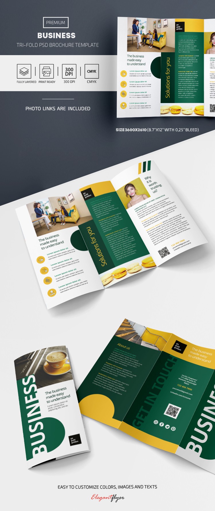 Business School Brochure by ElegantFlyer