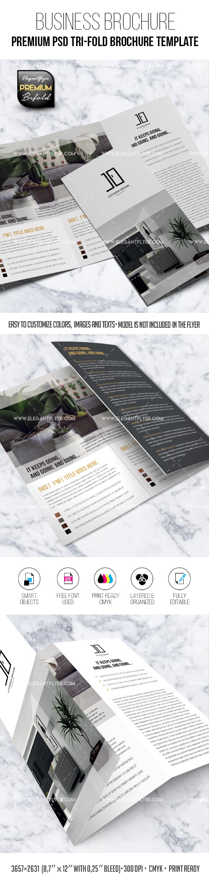 Business - Tri-Fold Brochure PSD Template by ElegantFlyer