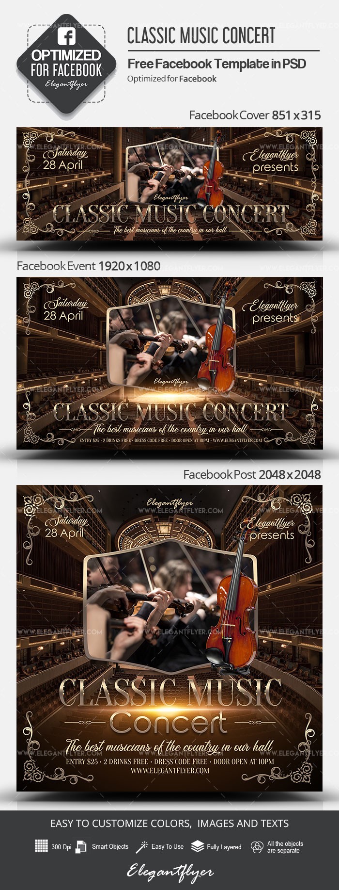 Concerto de Música Clássica no Facebook by ElegantFlyer