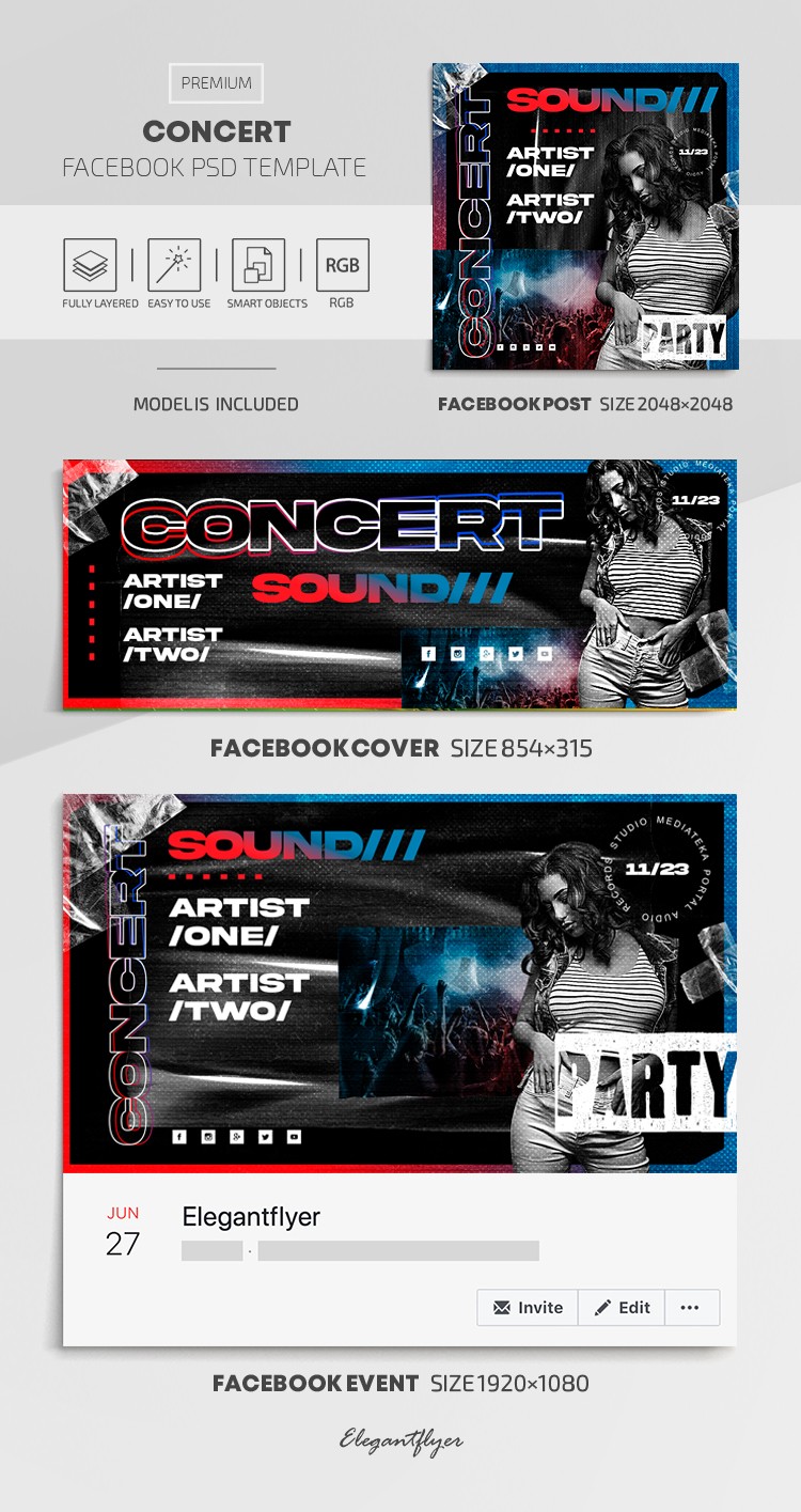 Konzert Facebook by ElegantFlyer