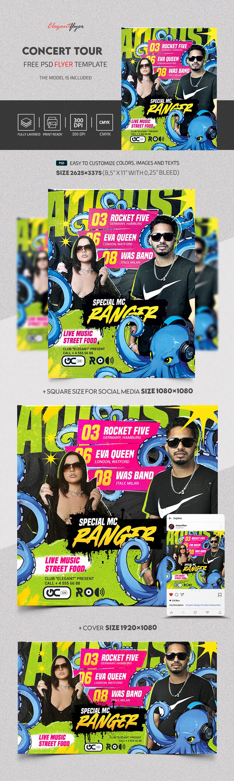 Turnê de shows by ElegantFlyer