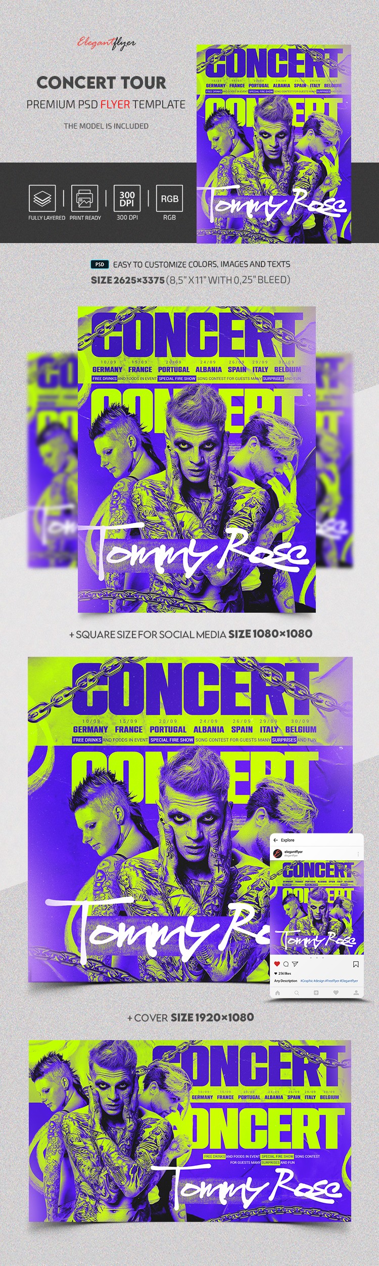 Evento del tour dei concerti by ElegantFlyer