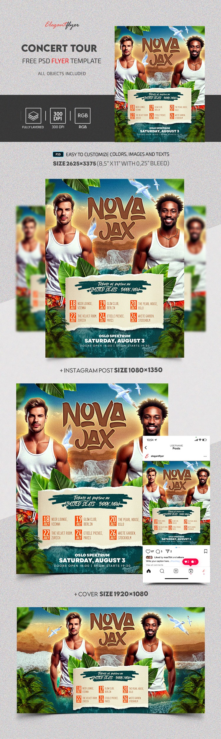 Concert Tour by ElegantFlyer Concert Tour by ElegantFlyer