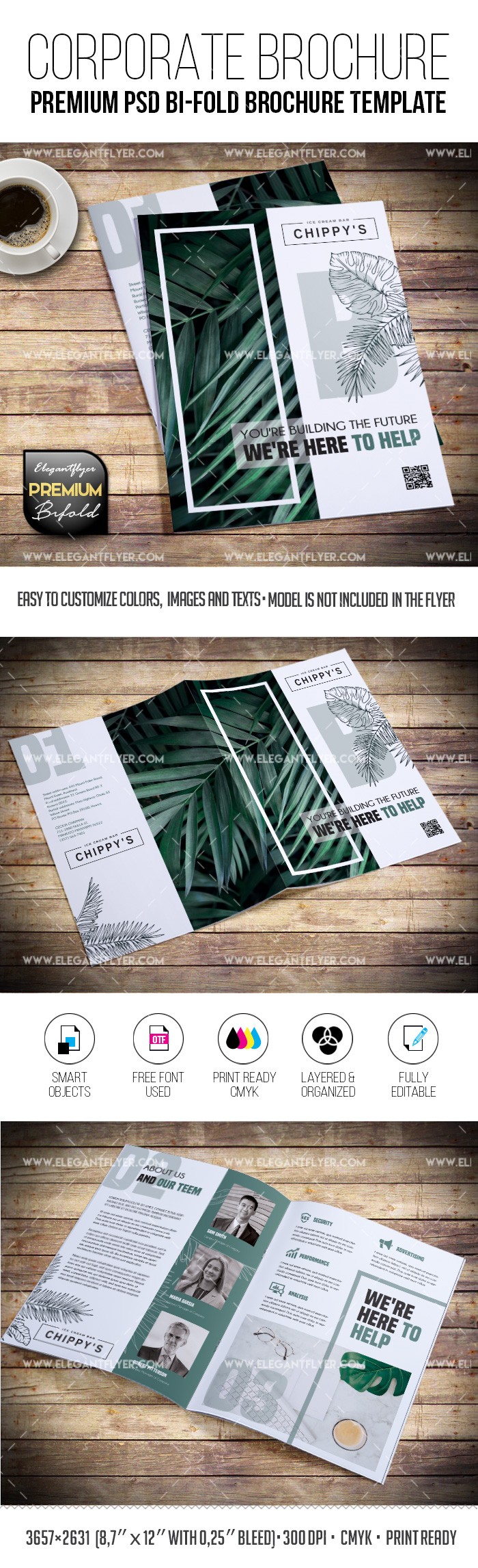 Brochure aziendale con piega a fisarmonica by ElegantFlyer