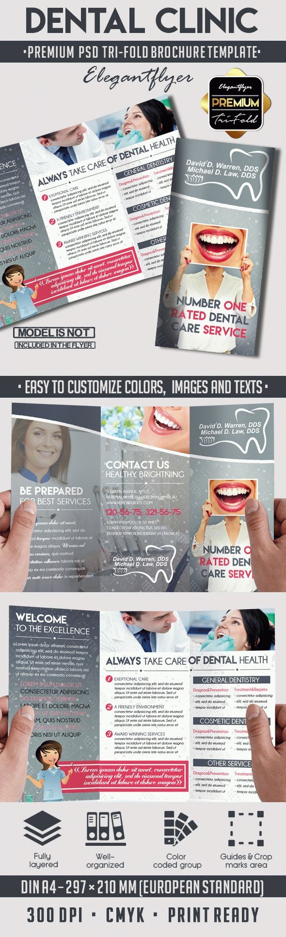 Tri-Fold Brochure for Dental Clinic - 10018012