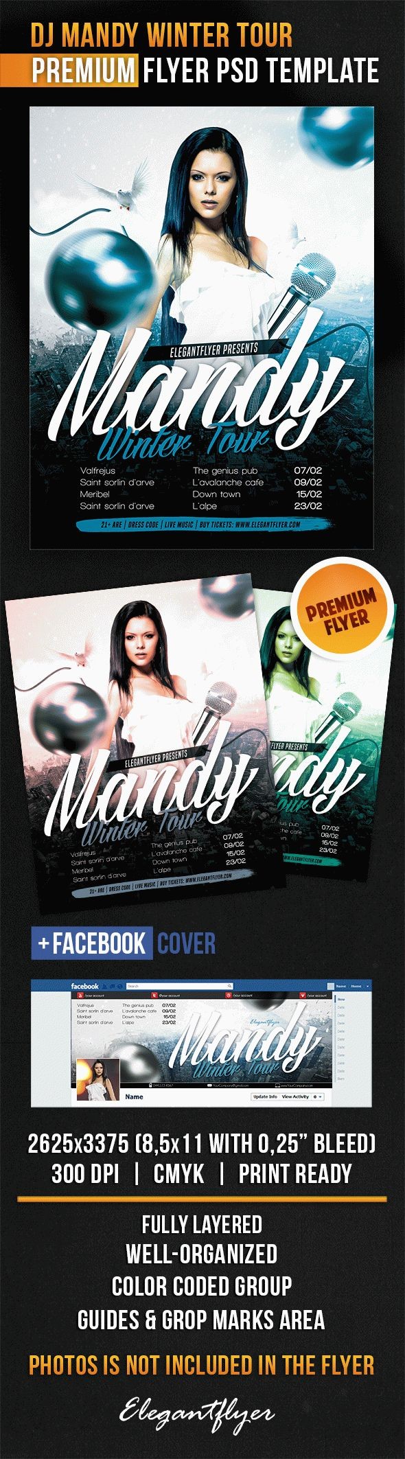 DJ Mandy Winter Tour by ElegantFlyer