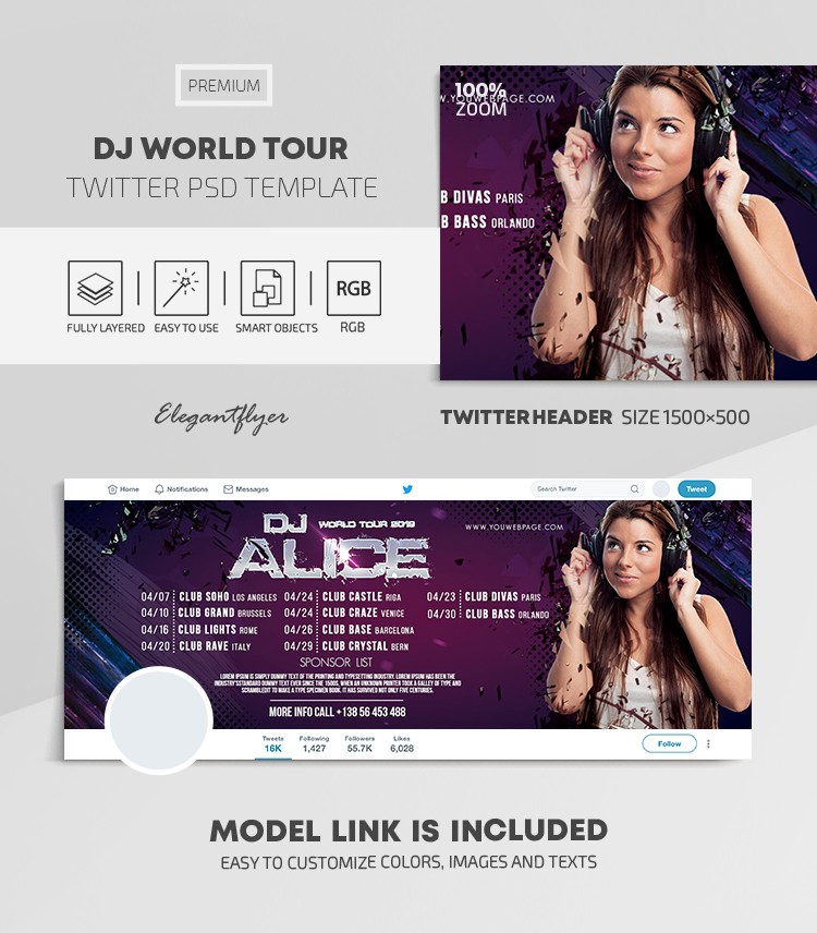 Turnê Mundial de DJ no Twitter by ElegantFlyer