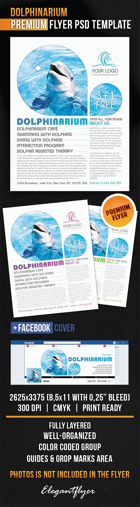 Dolphinarium by ElegantFlyer