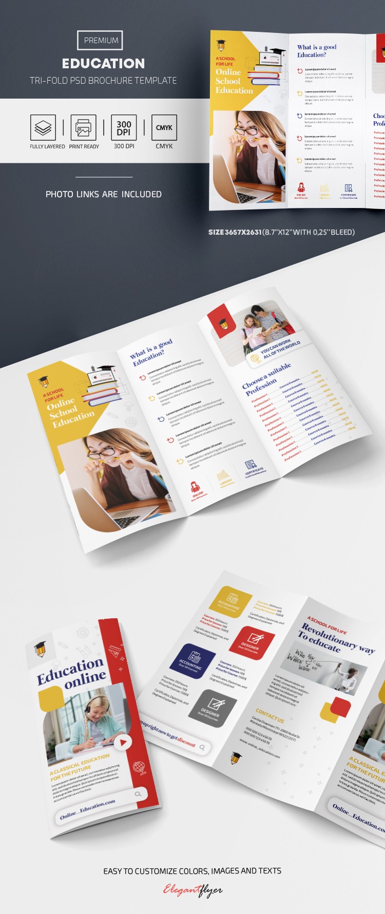 Brochura educacional em três dobras. by ElegantFlyer