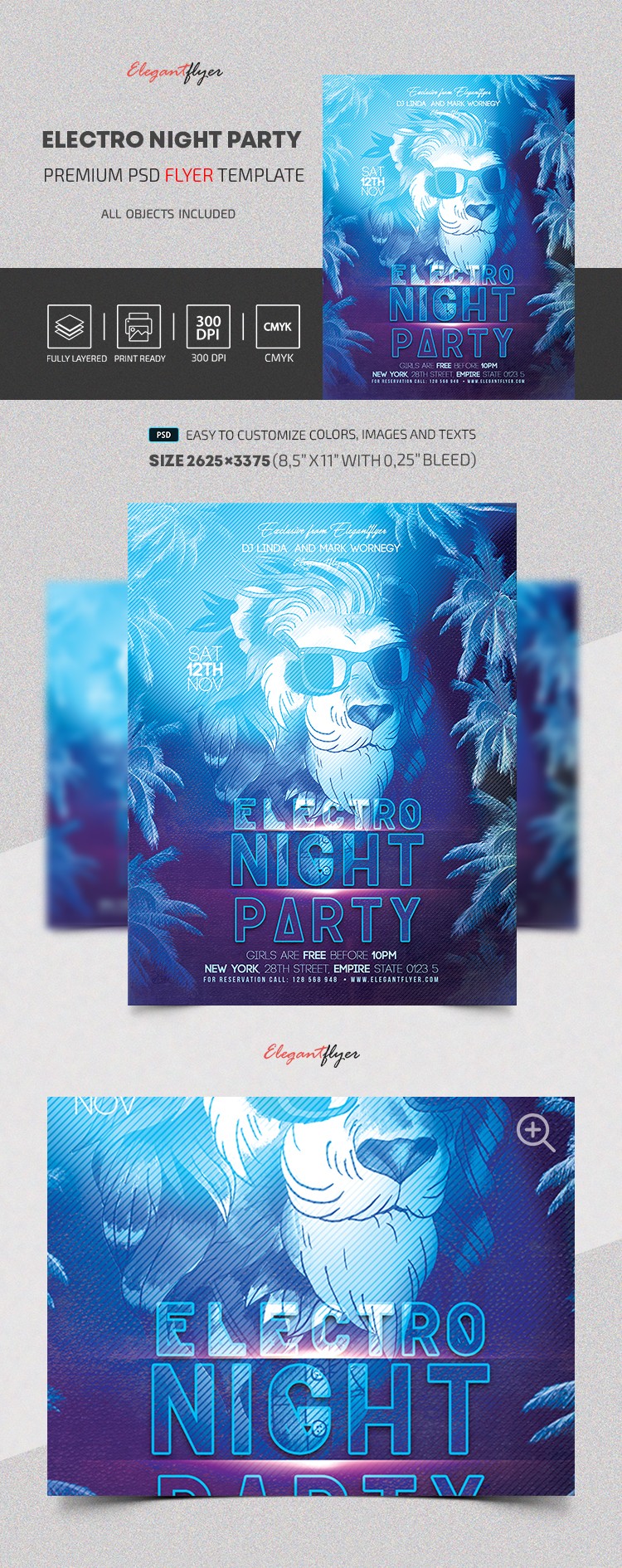 Festa da Noite Eletrônica V02 by ElegantFlyer