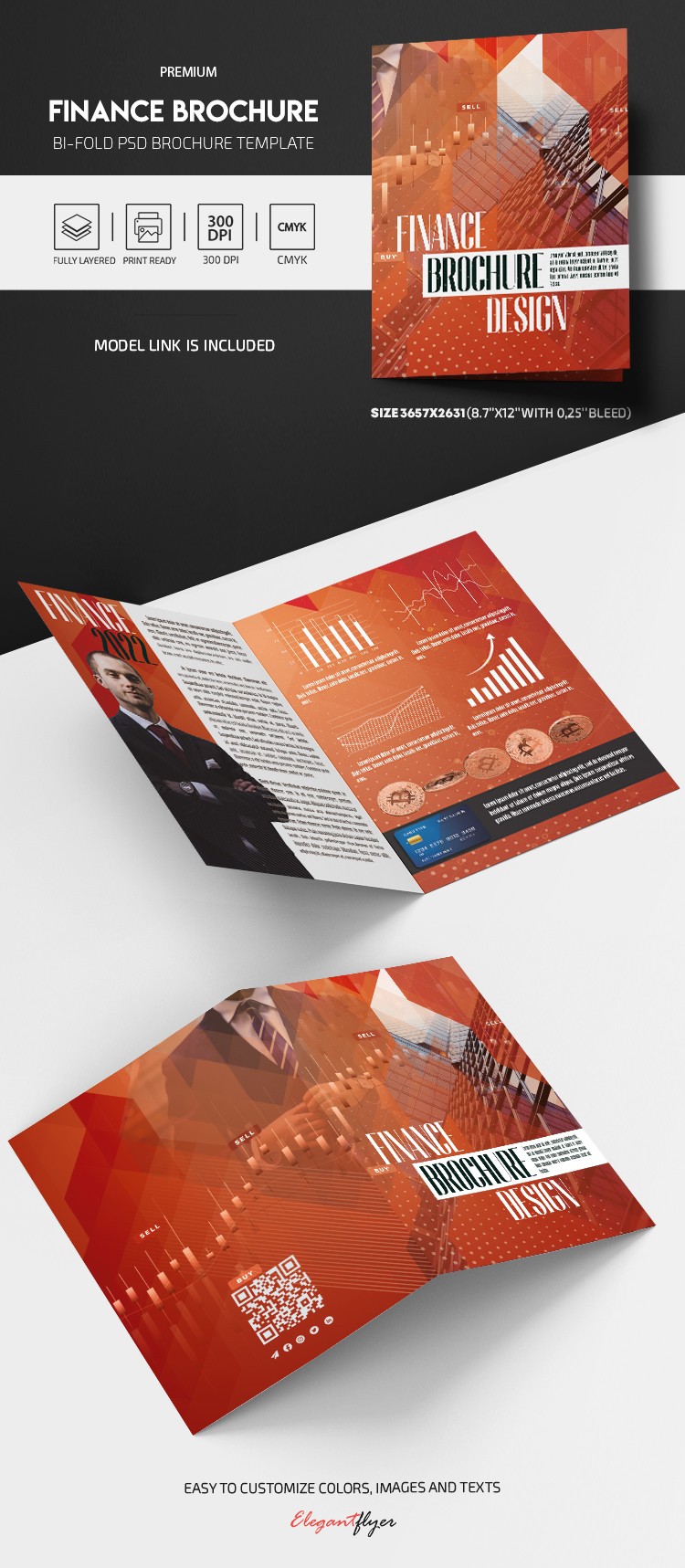 Finance Brochure by ElegantFlyer