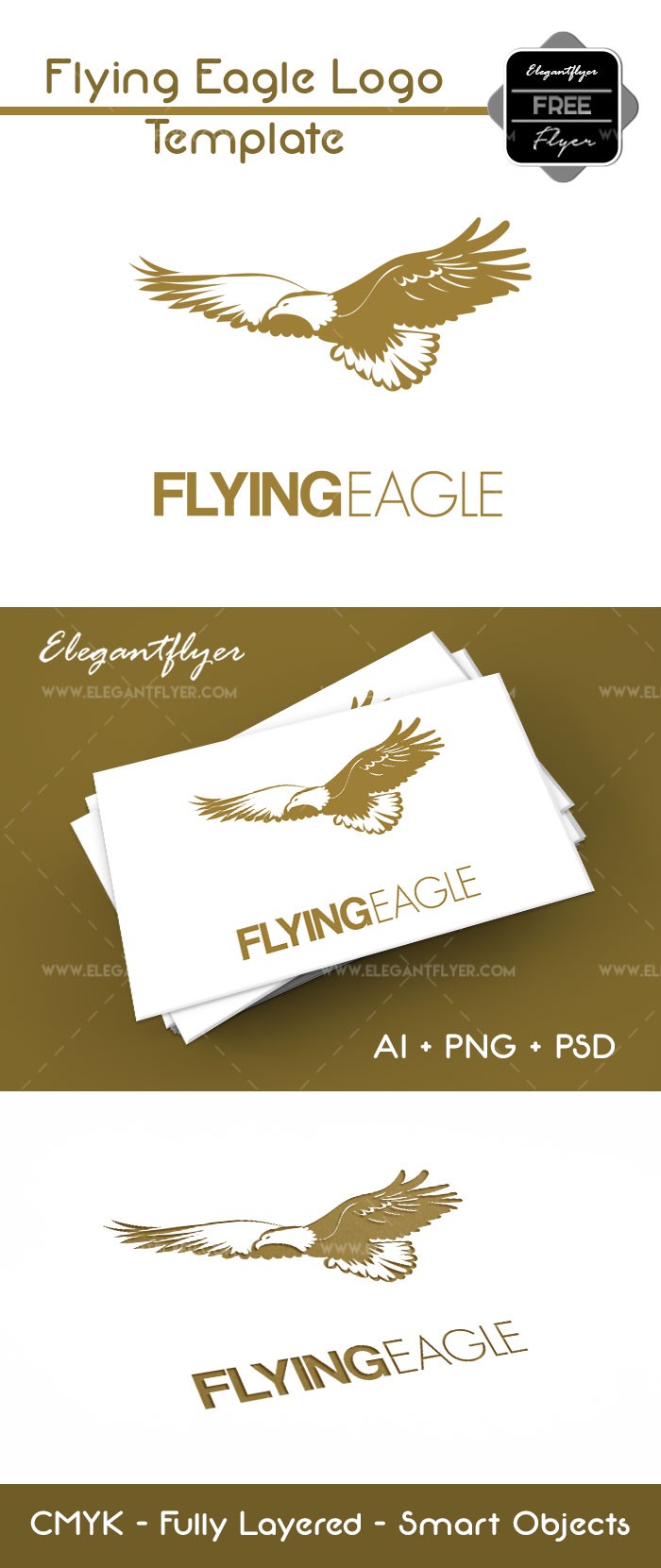 Flying Eagle by ElegantFlyer