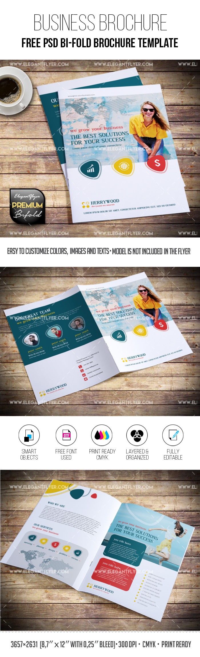 Business Bi-Fold Brochure by ElegantFlyer