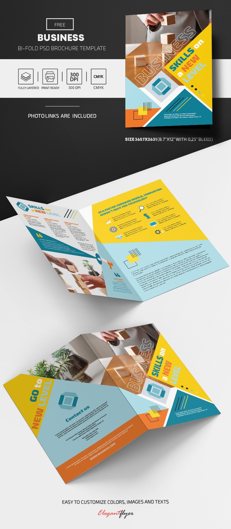 Brochura de Negócios Bi-Fold Gratuita by ElegantFlyer