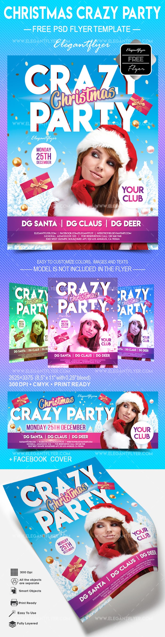 Christmas Crazy party by ElegantFlyer