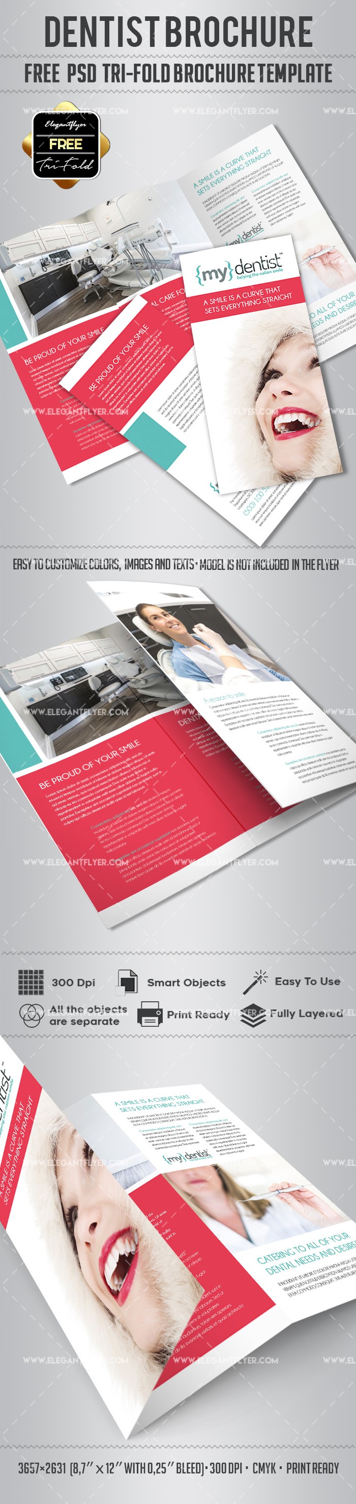 Dentist Tri-Fold Brochure by ElegantFlyer