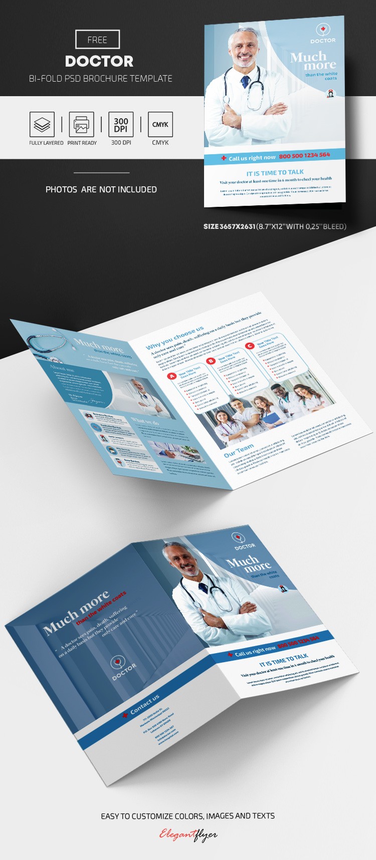 Dwujęzyczna broszura o lekarzu by ElegantFlyer