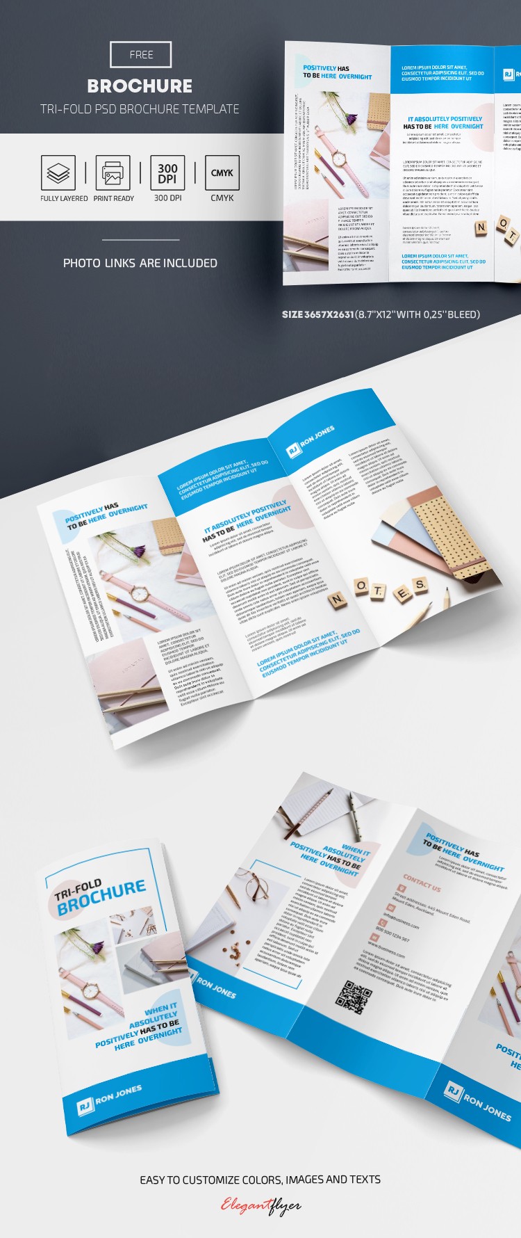 Free tri-fold brochure by ElegantFlyer