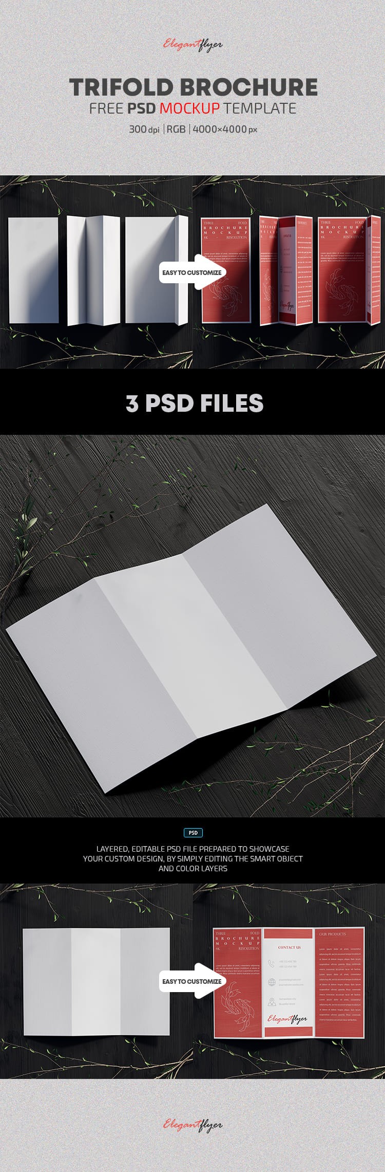 Tri-Fold Brochure Mockup by ElegantFlyer
