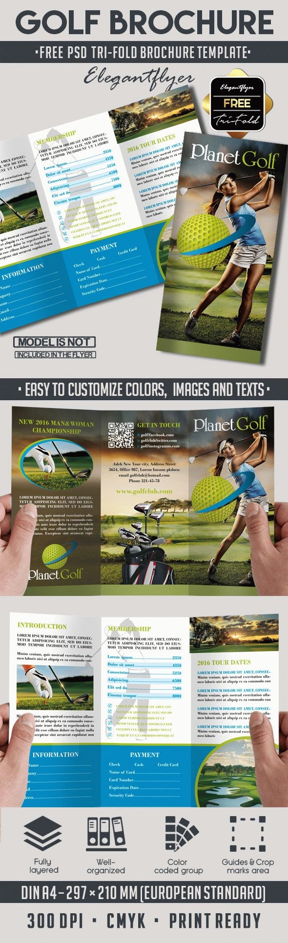 Golf Club Tri-Fold Brochure by ElegantFlyer