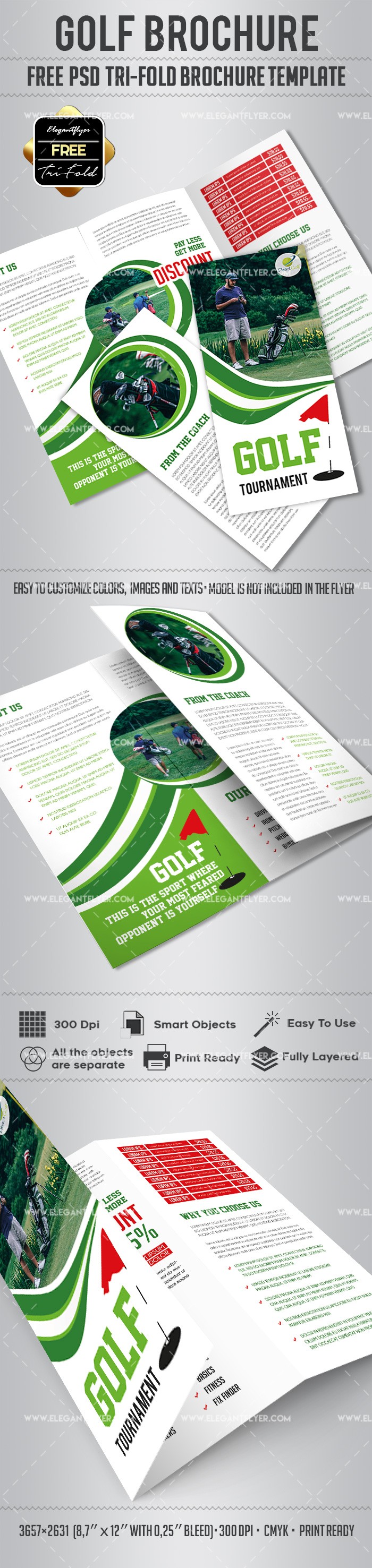 Brochure per il golf a tre pannelli by ElegantFlyer