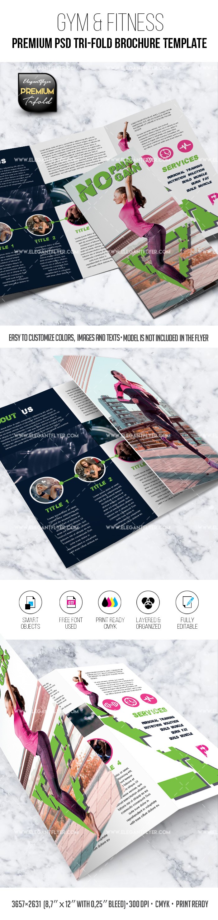 Gym & Fitness Tri-Fold Brochure by ElegantFlyer