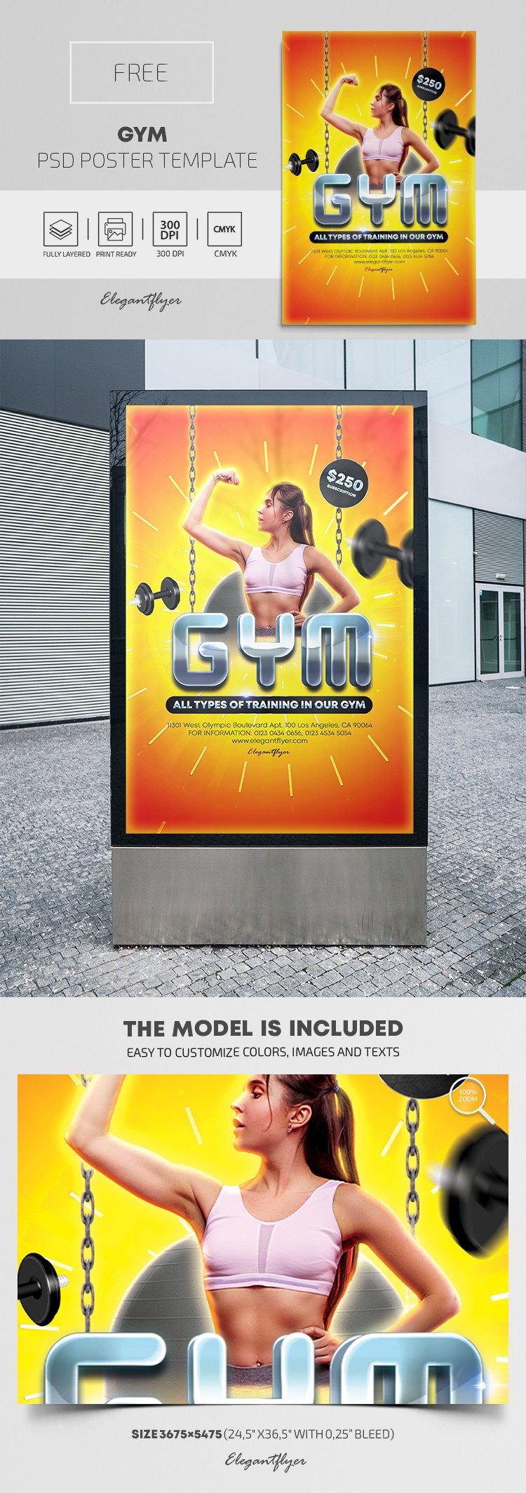 GYM Poster by ElegantFlyer