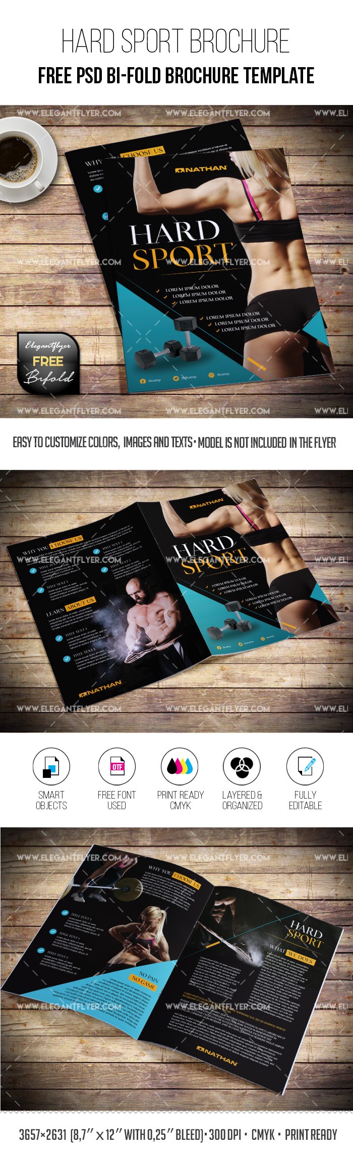 Hard Sport – Free Brochure PSD Template by ElegantFlyer