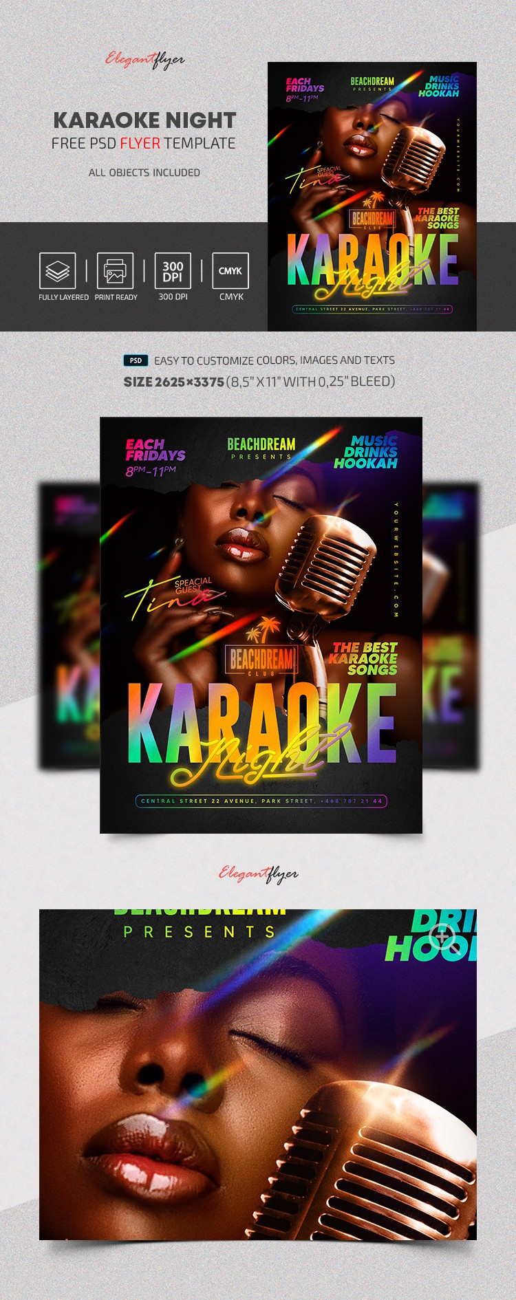 Karaoke Night Flyer by ElegantFlyer
