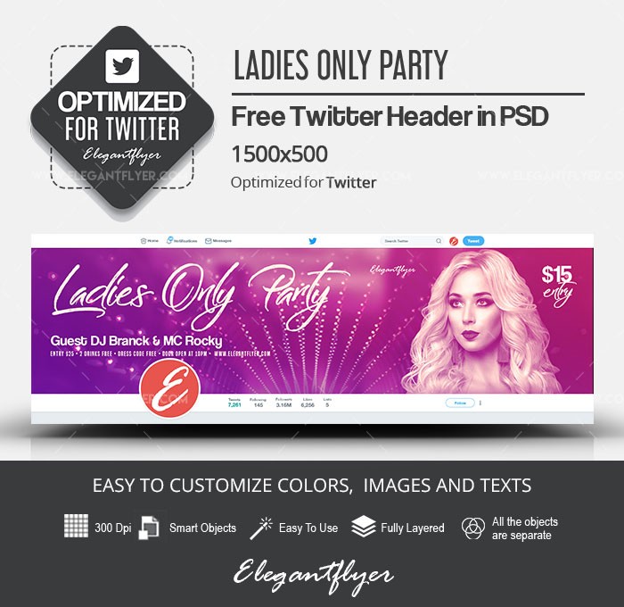 Ladies Only Party Twitter by ElegantFlyer