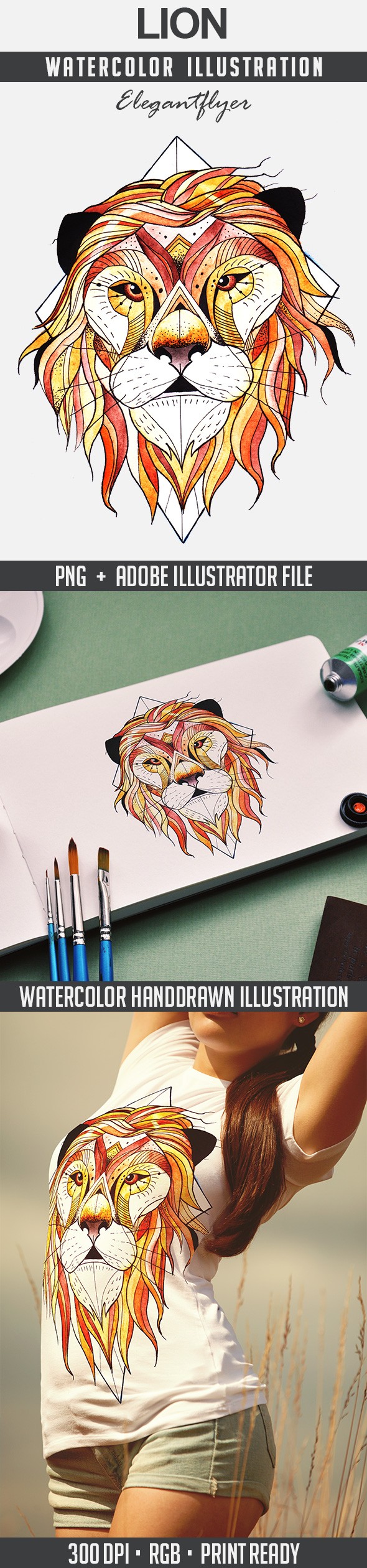 Lion by ElegantFlyer