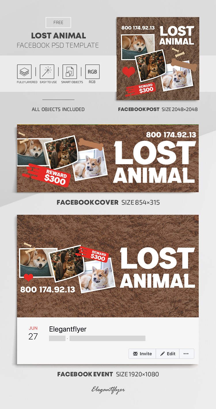 Lost Animal Facebook by ElegantFlyer