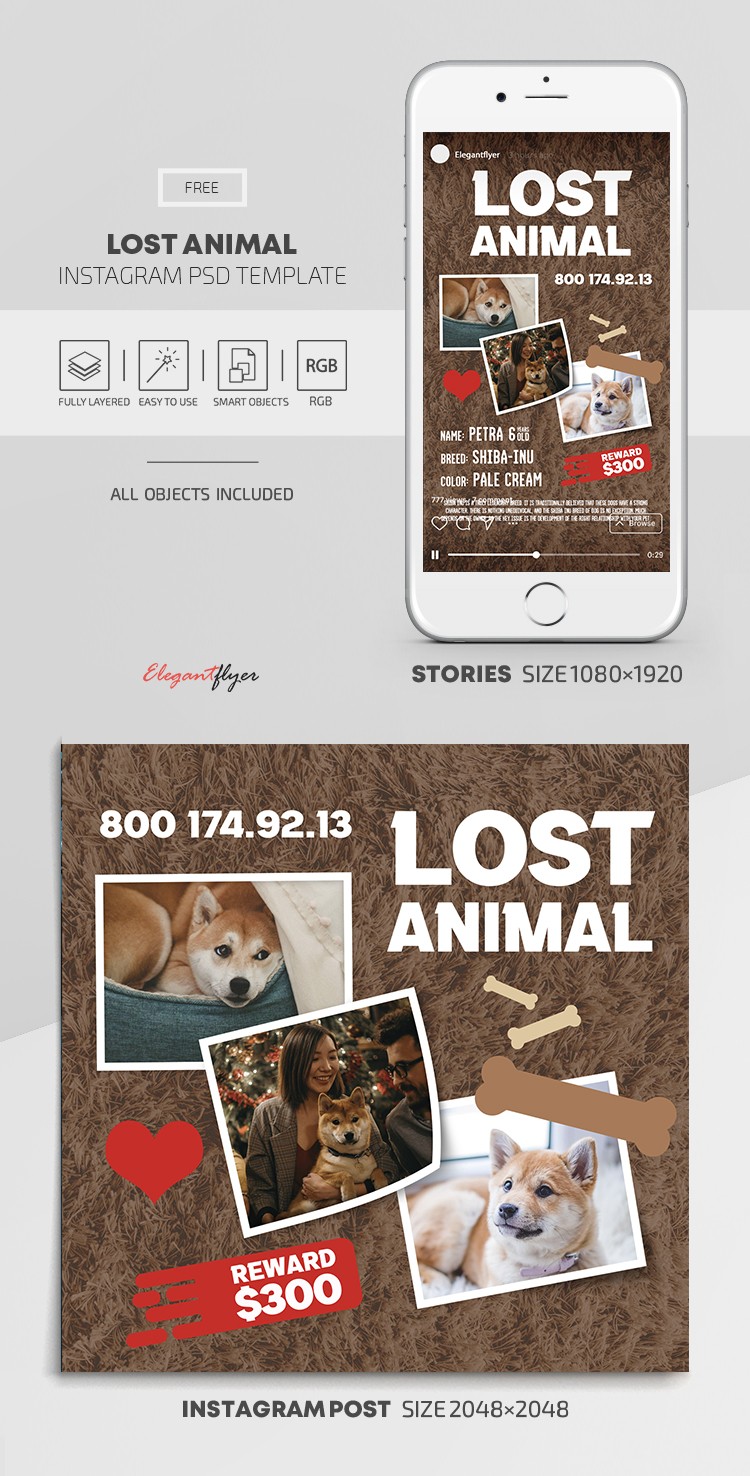 Zgubione Zwierzęta Instagram by ElegantFlyer