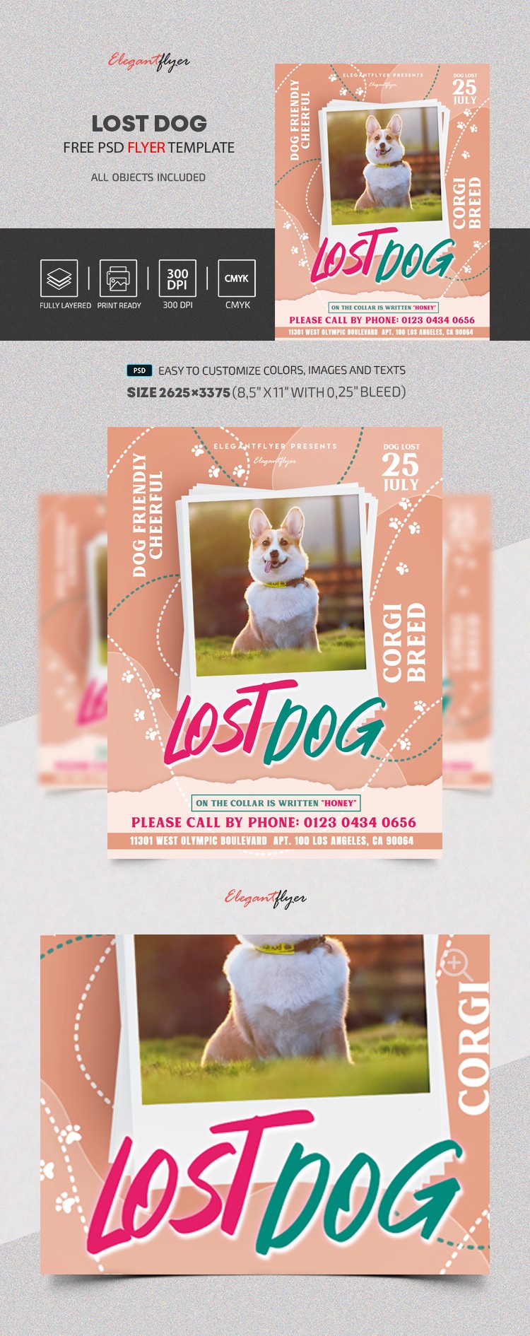 Lost Dog Flyer by ElegantFlyer