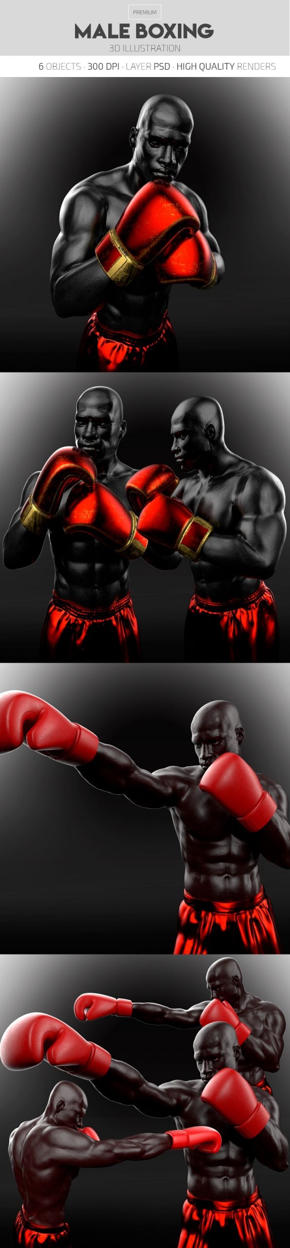 Male Boxing by ElegantFlyer