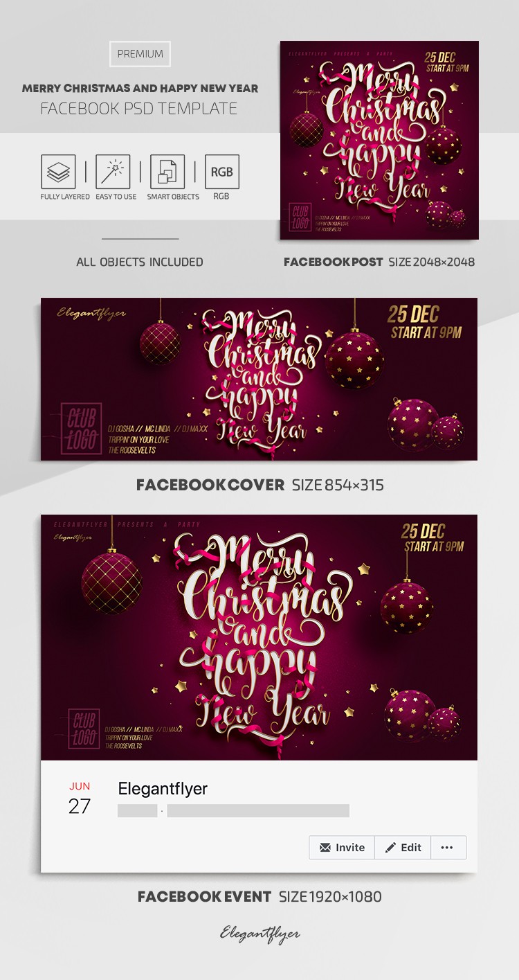 Merry Christmas and Happy New Year by ElegantFlyer