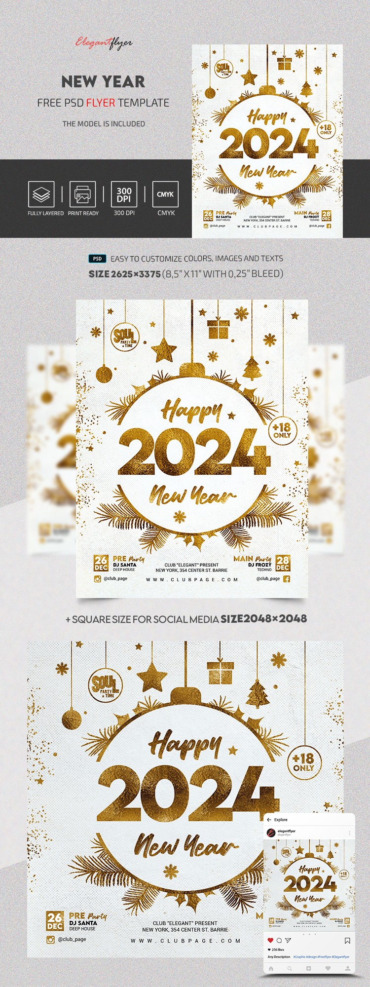 Año Nuevo 2024 by ElegantFlyer